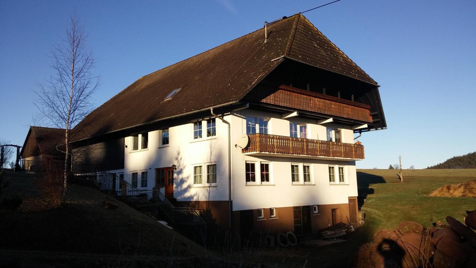 Fuchs Lauterbach (Baden-Wurttemberg)